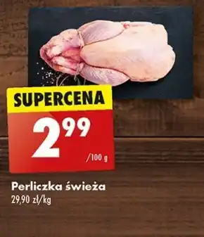 Biedronka Perliczka oferta