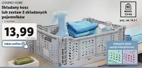 Lidl Kosz składany Livarno oferta