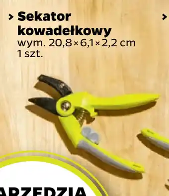 Netto Sekator kowadełkowy oferta