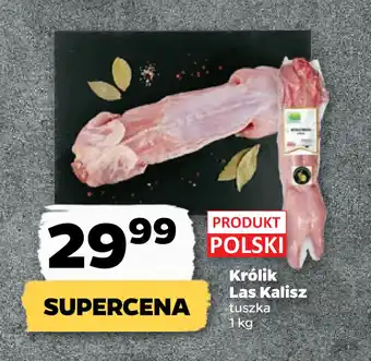 Netto Królik Las Kalisz oferta