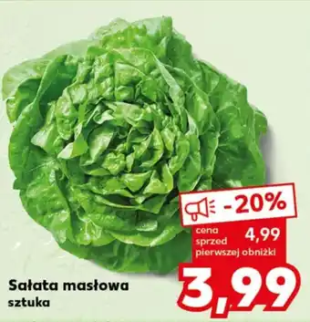 Kaufland Sałata masłowa szt. oferta