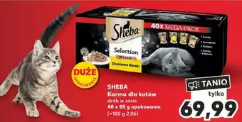Kaufland SHEBA Karma dla kotów 40 x 85 g oferta