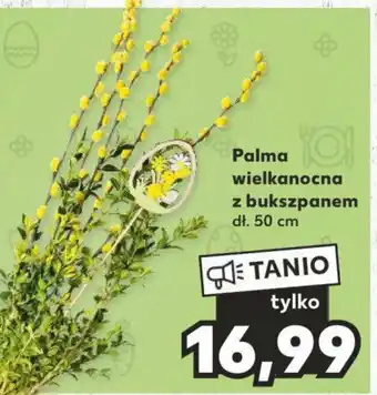 Palma wielkanocna z bukszpanem