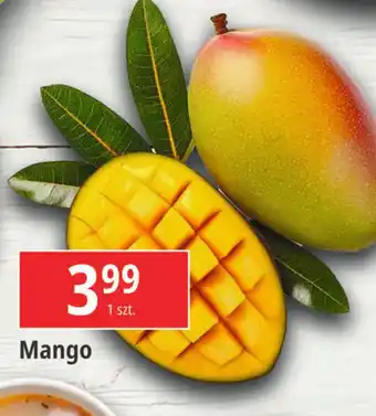 E.Leclerc Mango oferta