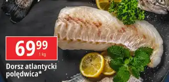 E.Leclerc Dorsz atlantycki polędwica 1 kg oferta