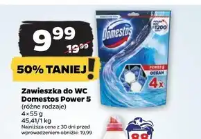 Netto Domestos Power 5 Ocean Kostka toaletowa 4 x 55 g oferta