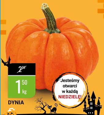 bi1 Dynia 1kg oferta