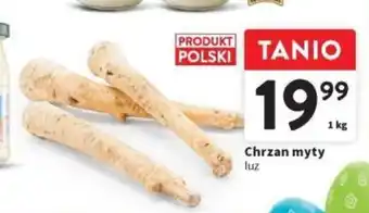 Intermarche Chrzan myty 1kg oferta