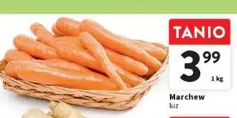 Intermarche Marchew 1kg oferta