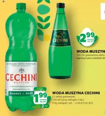 Stokrotka WODA MUSZYNA CECHINI 2 l oferta