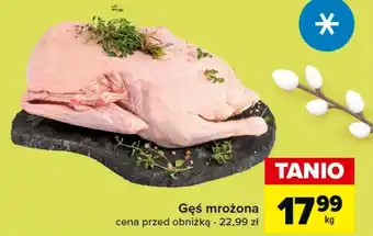 Carrefour Gęś oferta