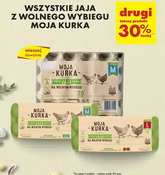 Biedronka WSZYSTKIE JAJA Z WOLNEGO WYBIEGU MOJA KURKA oferta