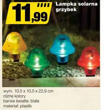 Bricomarche Lampka solarna Barwa oferta
