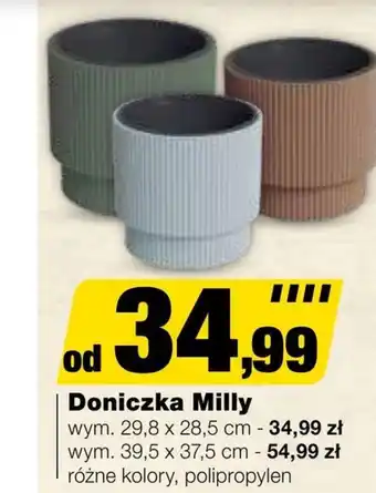 Doniczka Milly
