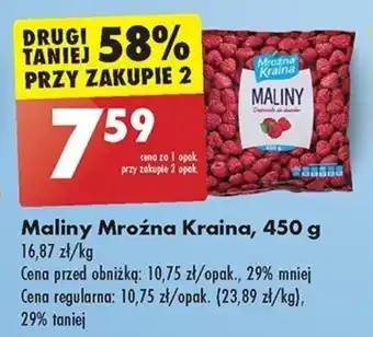 Biedronka Maliny Mroźna Kraina, 450 g oferta