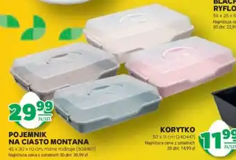 Stokrotka POJEMNIK NA CIASTO MONTANA oferta