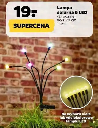 Netto Lampa solarna Białe oferta