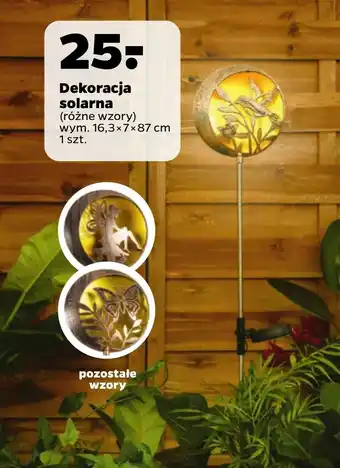 Netto Dekoracja oferta