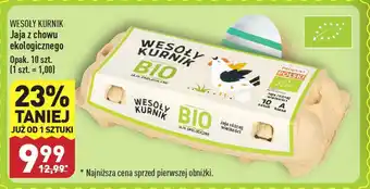 ALDI WESOŁY KURNIK Jaja z chowu ekologicznego 10 szt. oferta