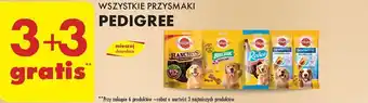 Biedronka PRZYSMAKI PEDIGREE oferta