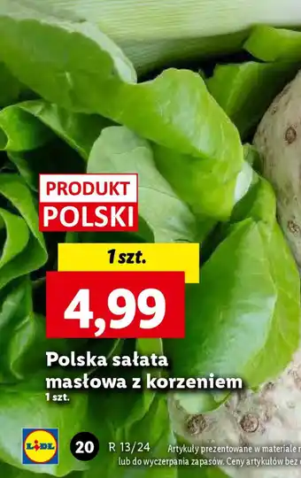 Lidl Polska sałata masłowa z korzeniem oferta