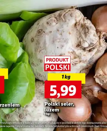 Lidl Polski seler 1 kg oferta
