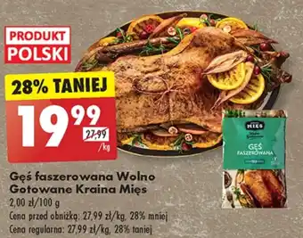 Biedronka Gęś Kraina Mięs oferta