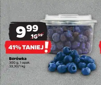 Netto Borówka 300 g oferta