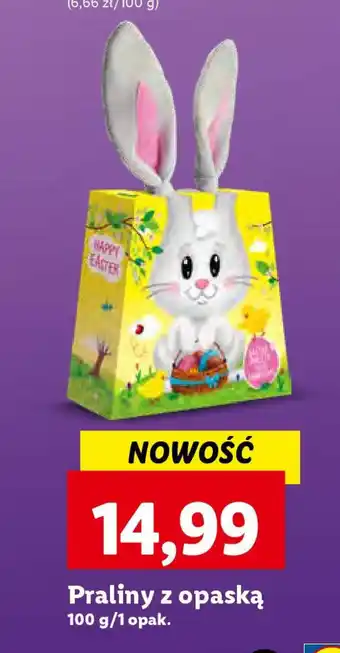 Lidl Praliny z opaską 100 g oferta
