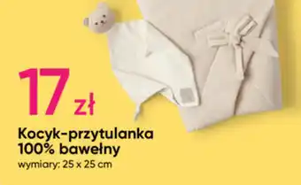 Pepco Kocyk-przytulanka 100% bawełny 25x25cm oferta