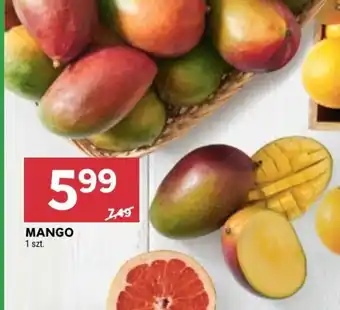 Stokrotka MANGO 1 szt. oferta