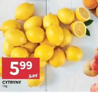 Stokrotka CYTRYNY 1 kg oferta