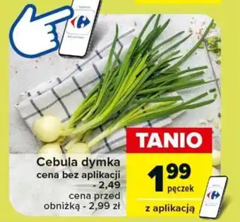 Carrefour Market Cebula dymka oferta