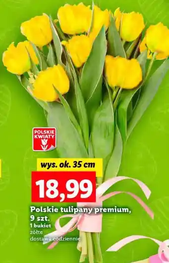 Lidl Bukiet tulipanów Polskie kwiaty oferta