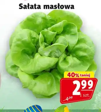 Prim Market Sałata masłowa S! oferta