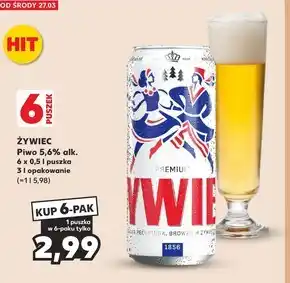 Kaufland Żywiec Piwo jasne 500 ml oferta