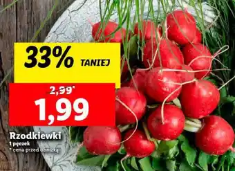 Lidl Rzodkiewki oferta