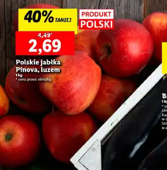 Lidl Polskie jabłka Pinova, luzem 1 kg oferta