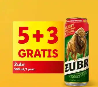 Lidl Żubr 500 ml oferta