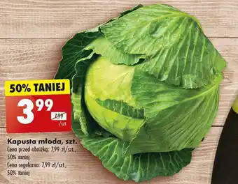 Biedronka Kapusta młoda szt. oferta