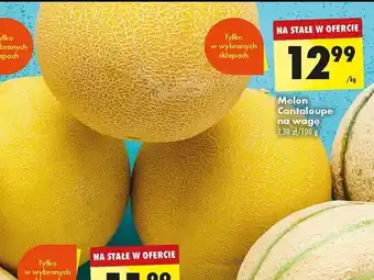 Biedronka Melon Cantaloupe 1kg oferta