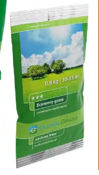 OBI Economy - grass trawa uniwersalna - 0,8 kg oferta