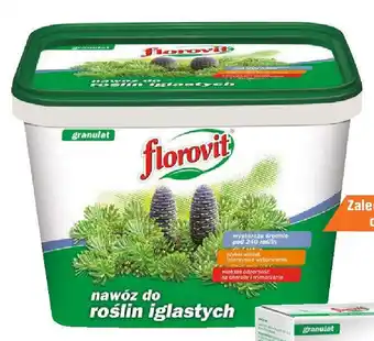 OBI Florovit Nawóz do roślin iglastych 8kg oferta