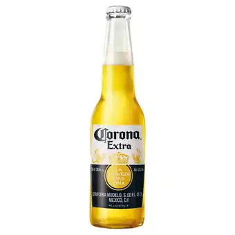 Stokrotka Market Corona Extra Piwo jasne 330 ml oferta