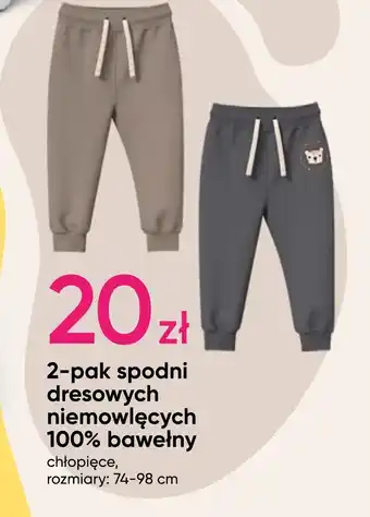 Pepco Spodnie niemowlęce oferta