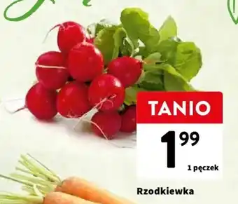 Intermarche Rzodkiewka 1 pęczek oferta