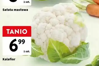 Intermarche Kalafior 1 szt. oferta