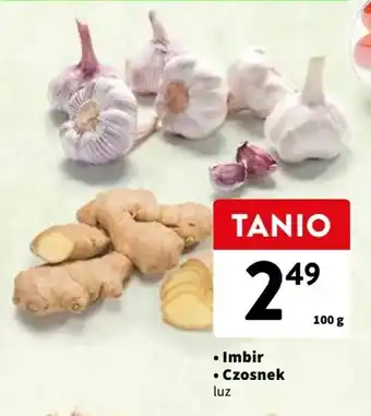 Intermarche Imbir Czosnek 100g oferta