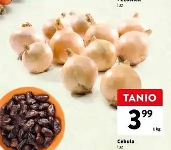 Intermarche Cebula 1 kg oferta