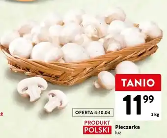 Intermarche Pieczarka 1kg oferta